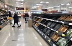 Brexit trade agreement ‘unworkable’ for UK supermarkets, MPs told