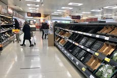 Brexit trade agreement ‘unworkable’ for UK supermarkets, MPs told
