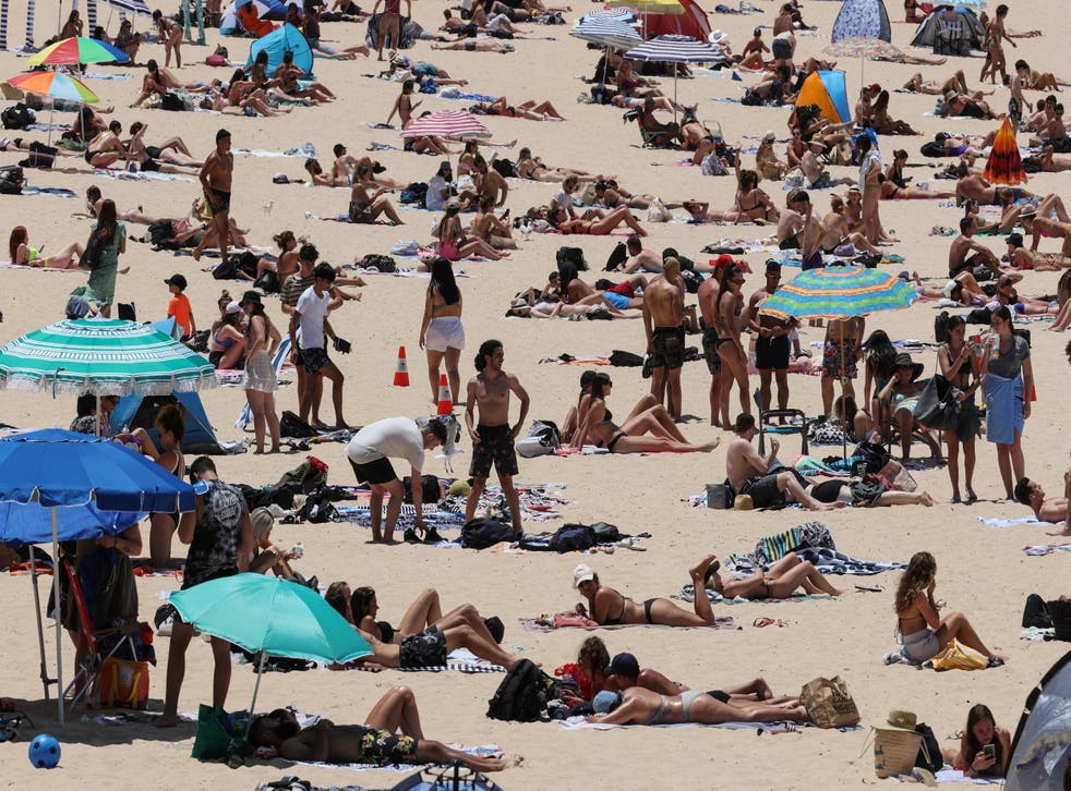 <p>Beachgoers enjoy a summer day at Coogee Beach in Sydney</p>