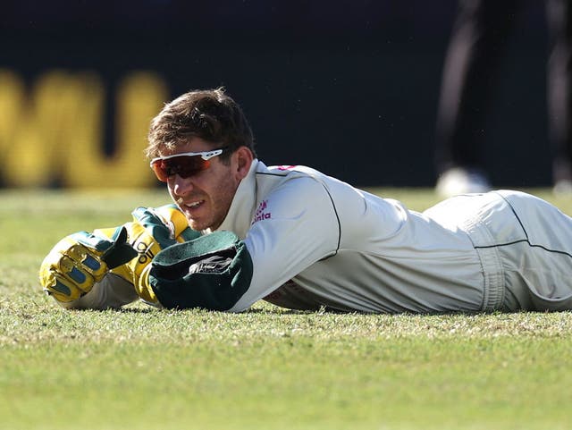 <p>Tim Paine drops a catch during the third Test</p>