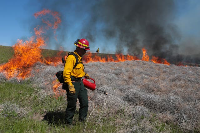 Western Wildfires-Fuelbreak Fight