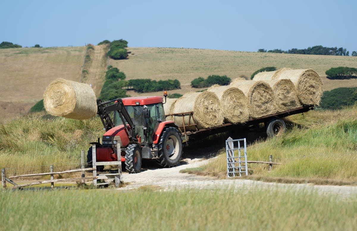 Cyclist left with brain damage after hay bale falls from trailer and hits him The Independent