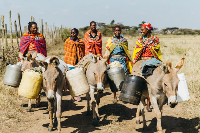 Women in Kenya walking with donkeys to fetch water 