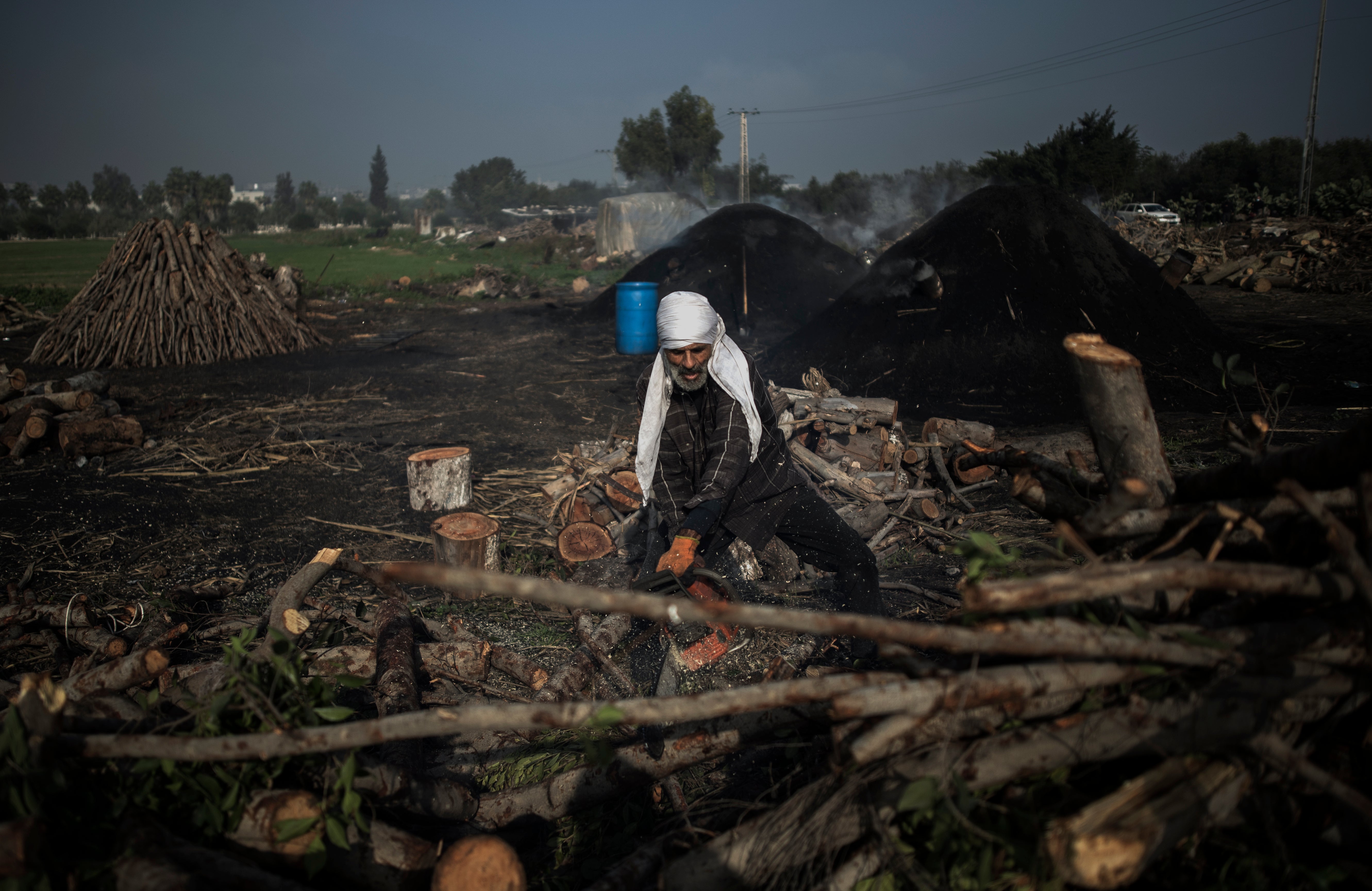 Gaza Woodcutters