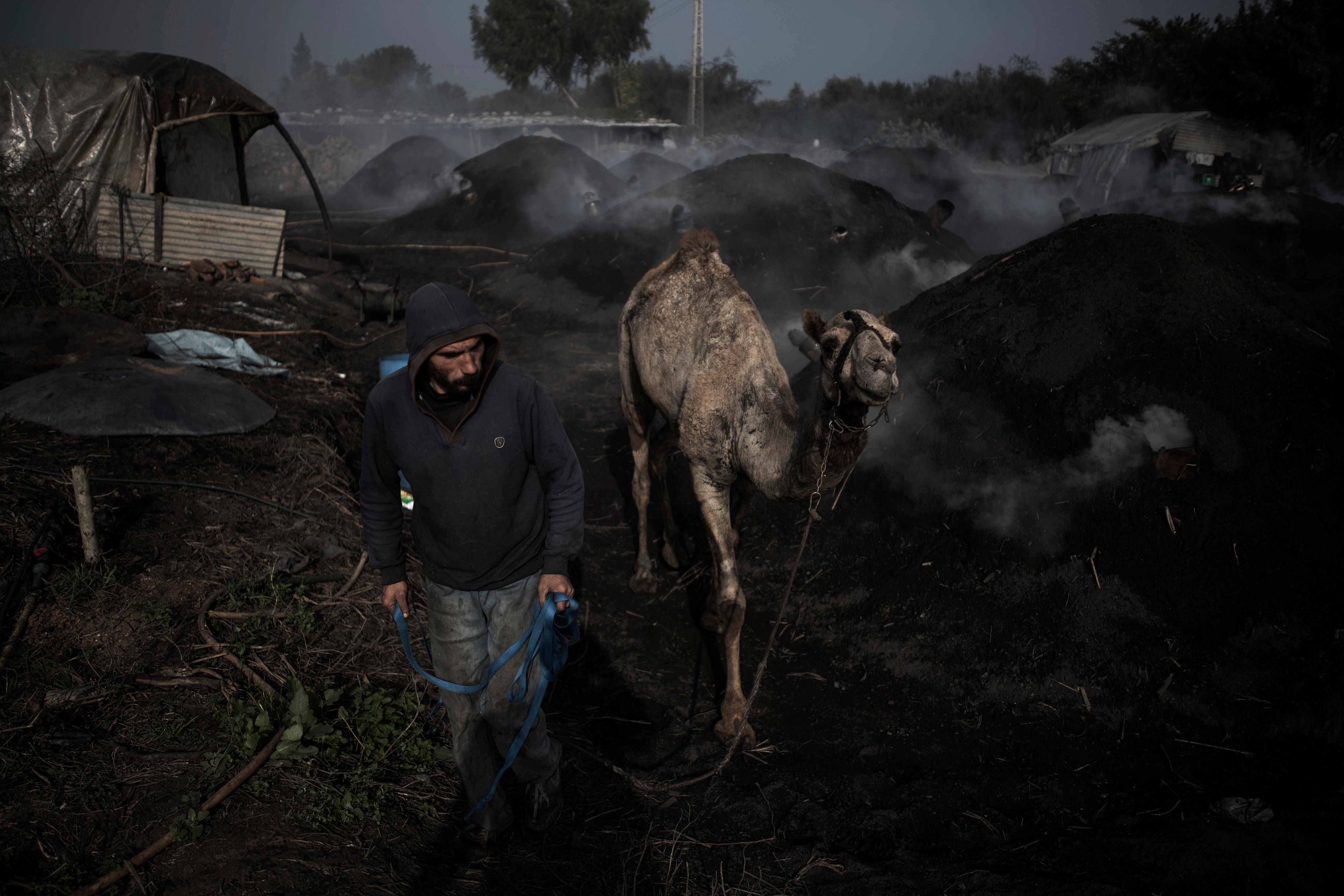 APTOPIX Gaza Woodcutters