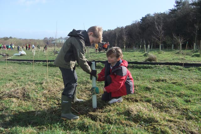Children from Western Primary School in Harrogate planting trees in Rotary Wood in March, 2011