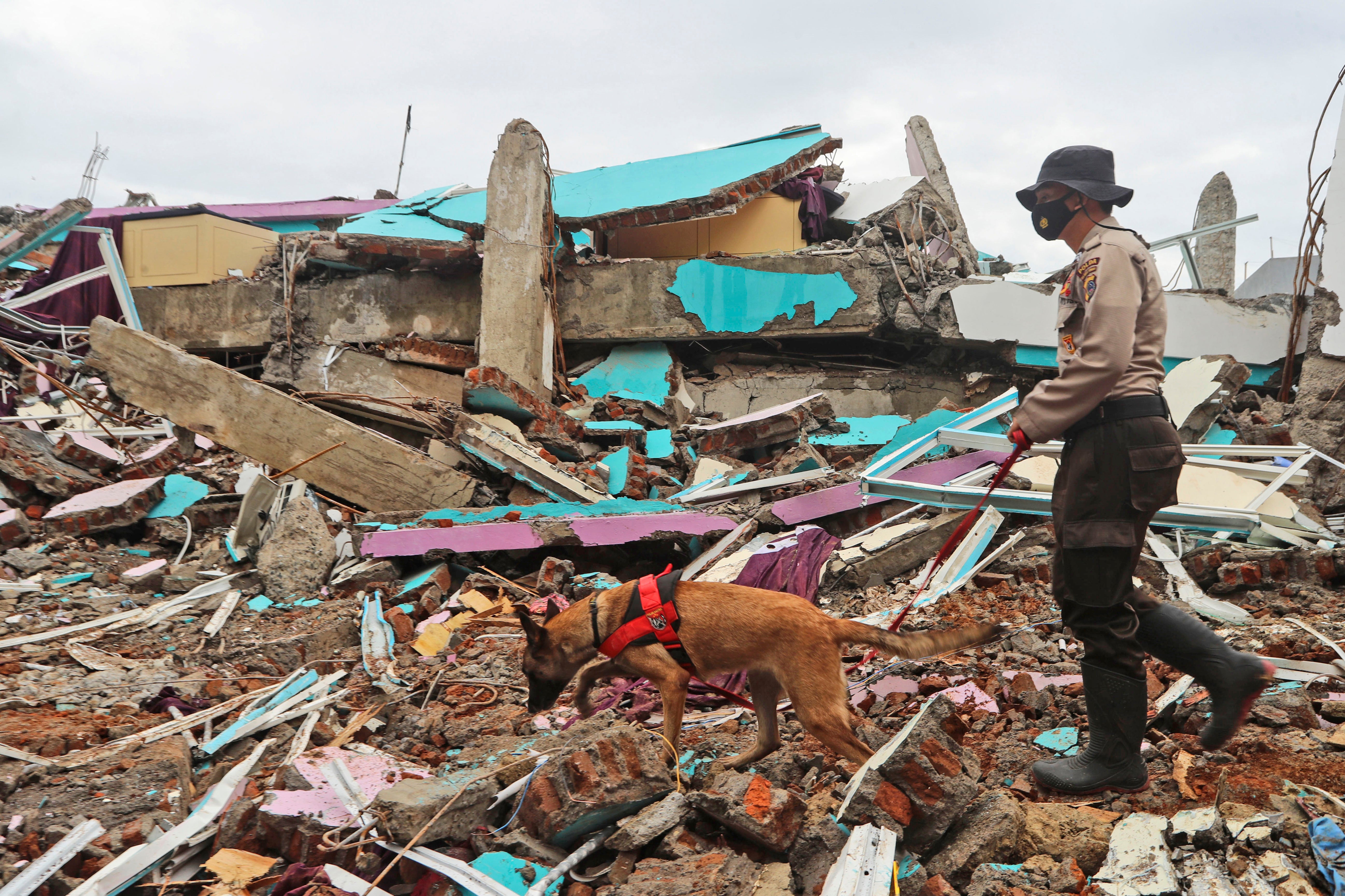A police officer leads a sniffer dog during a search for victims at the ruin of a building flattened by an earthquake in Mamuju, Indonesia,