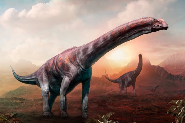 Artist’s impression of an Argentinosaurus
