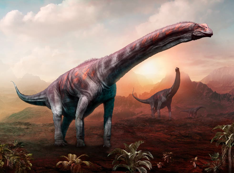 Artist’s impression of an Argentinosaurus