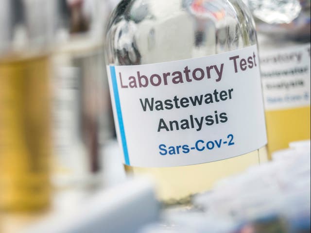 <p>Muestras de aguas residuales, análisis del virus sars-cov-2 en pacientes infectados por coronavirus humano 229E.</p>