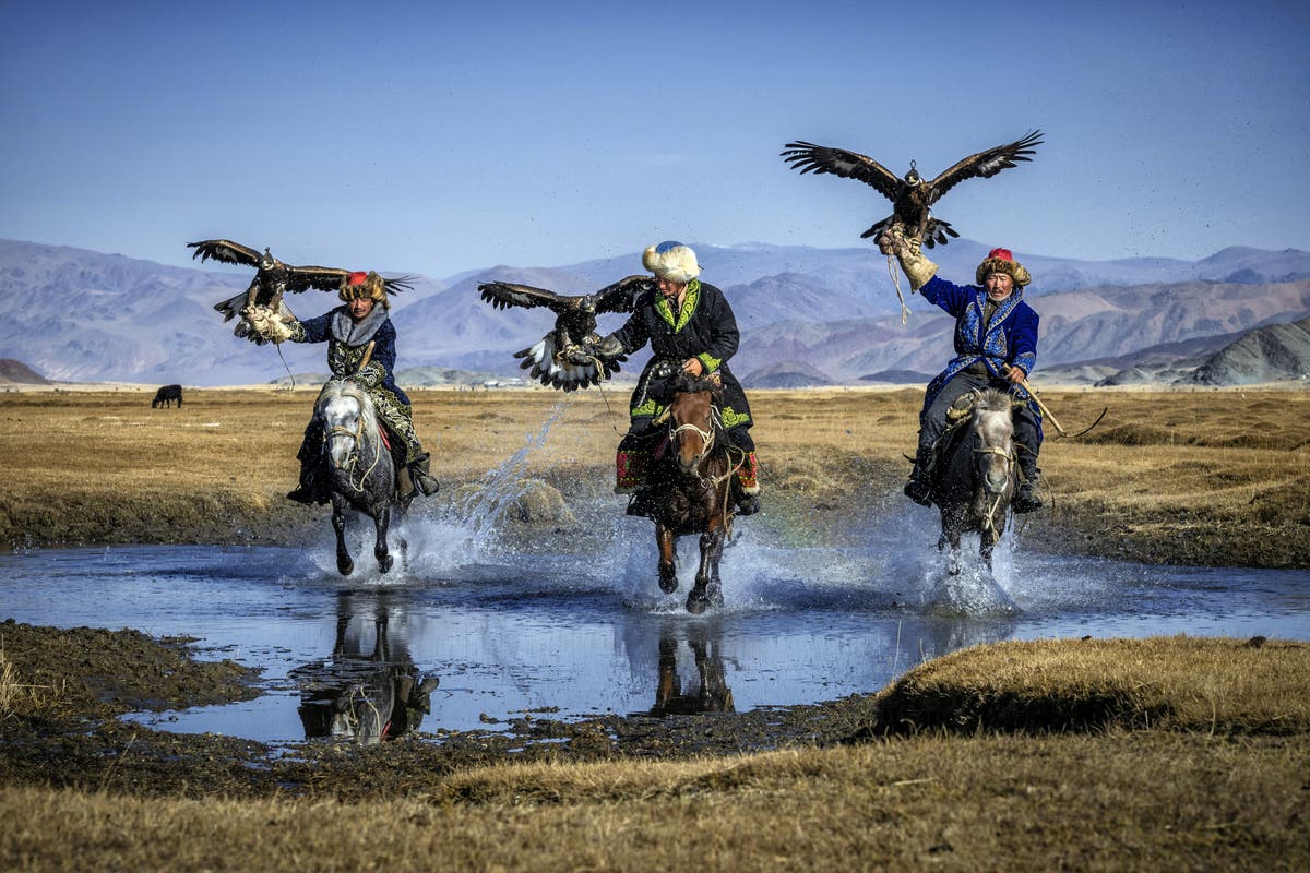 Capturing the last of Mongolia's eagle hunting tribes | The Independent