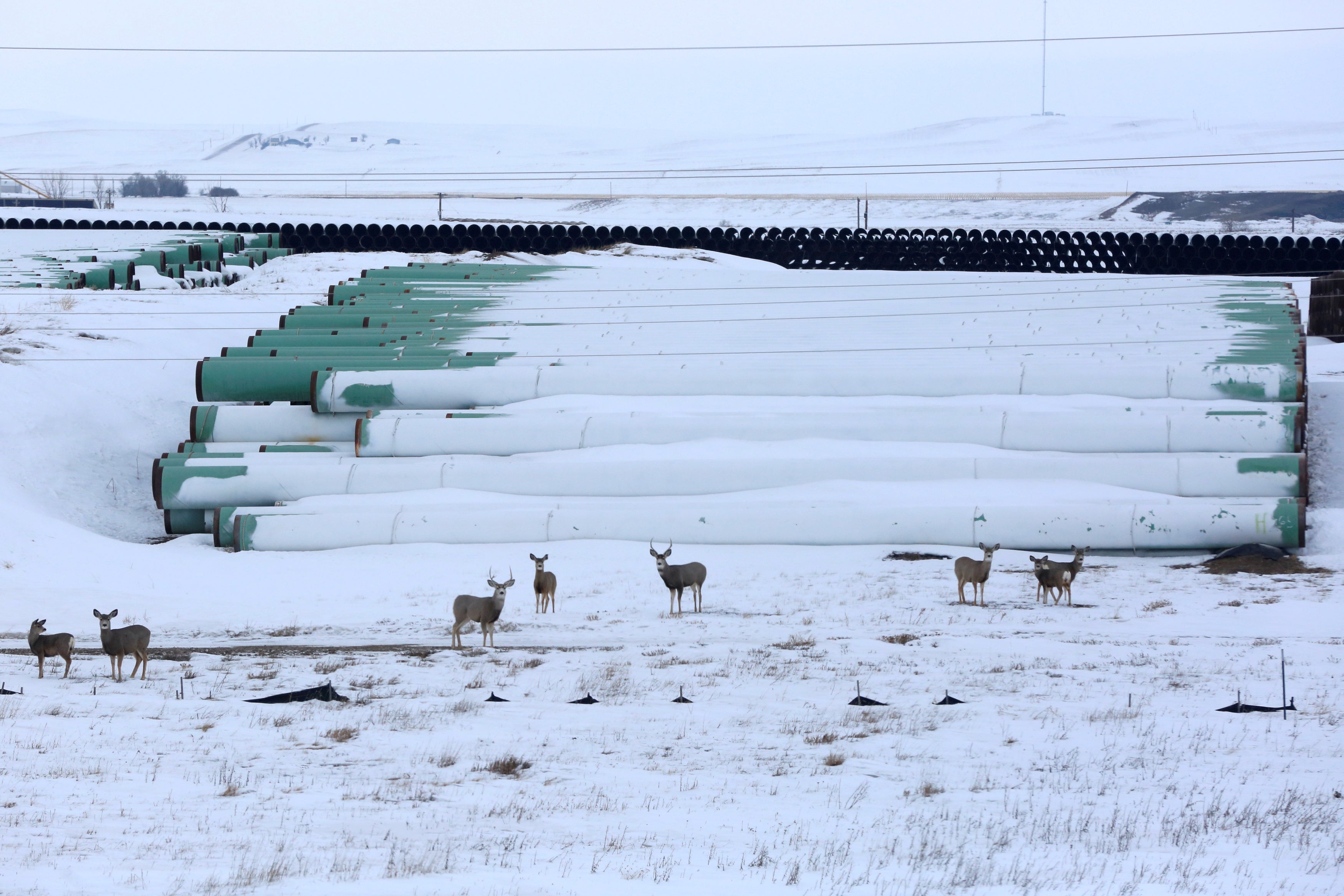 A depot used to store pipes for TC Energy Corp’s planned Keystone XL oil pipeline is seen in Gascoyne, North Dakota, January 25, 2017