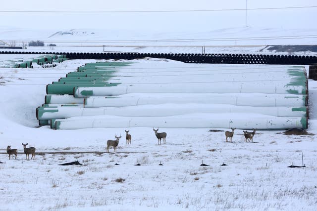 <p>A depot used to store pipes for TC Energy Corp’s planned Keystone XL oil pipeline is seen in Gascoyne, North Dakota, January 25, 2017</p>
