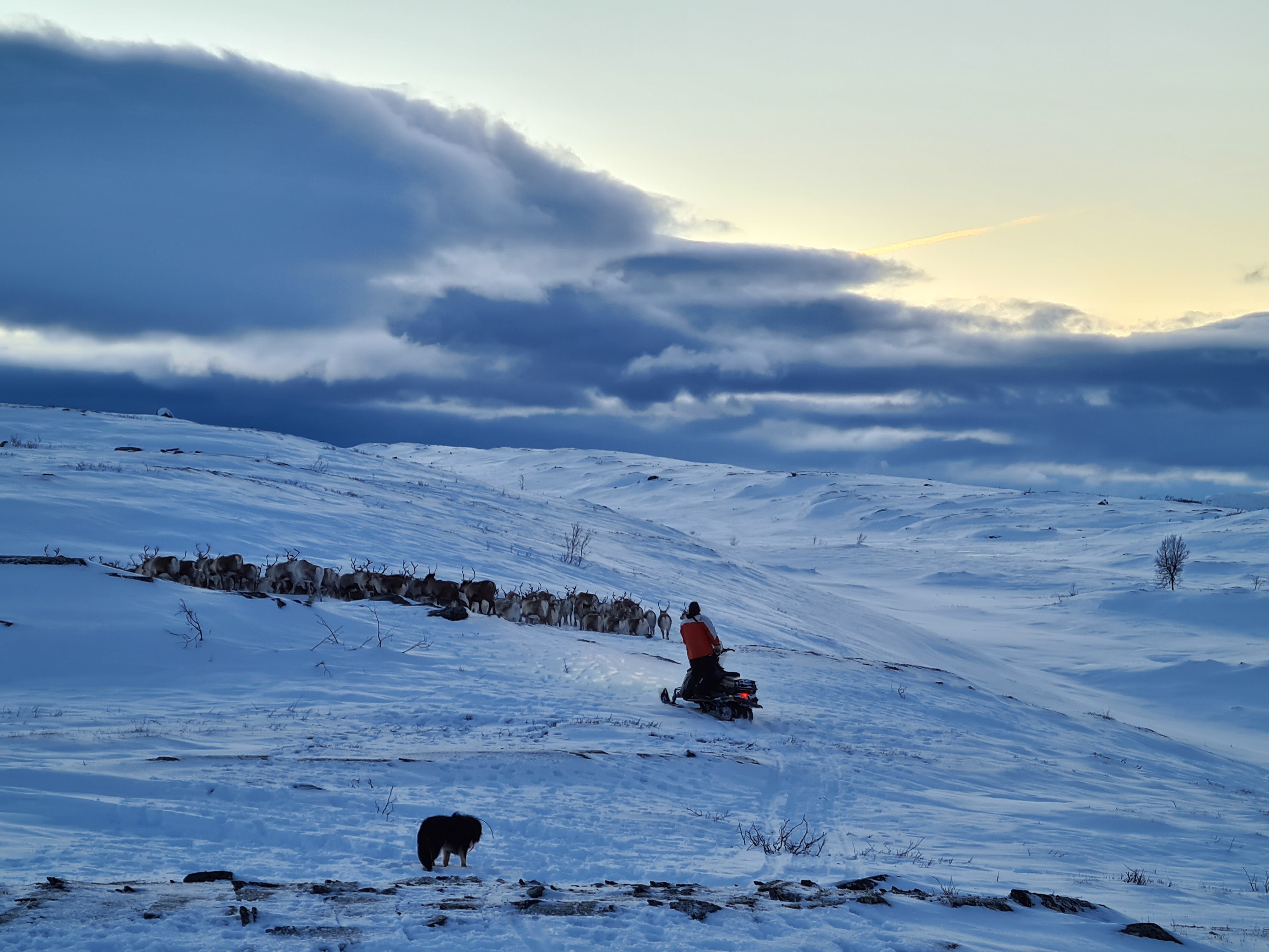 Norway’s green energy policy could destroy its indigenous people | The ...