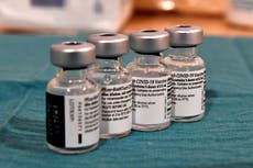 Pfizer vaccine ‘likely to provide protection against UK variant’