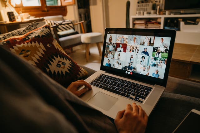 <p>A young woman uses a laptop on the sofa at home to have a work conference call.</p>