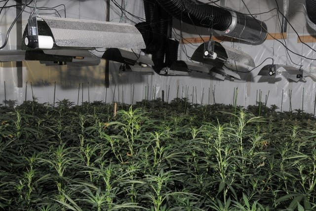 City of London Police have discovered the first cannabis factory in the area close to the Bank of England
