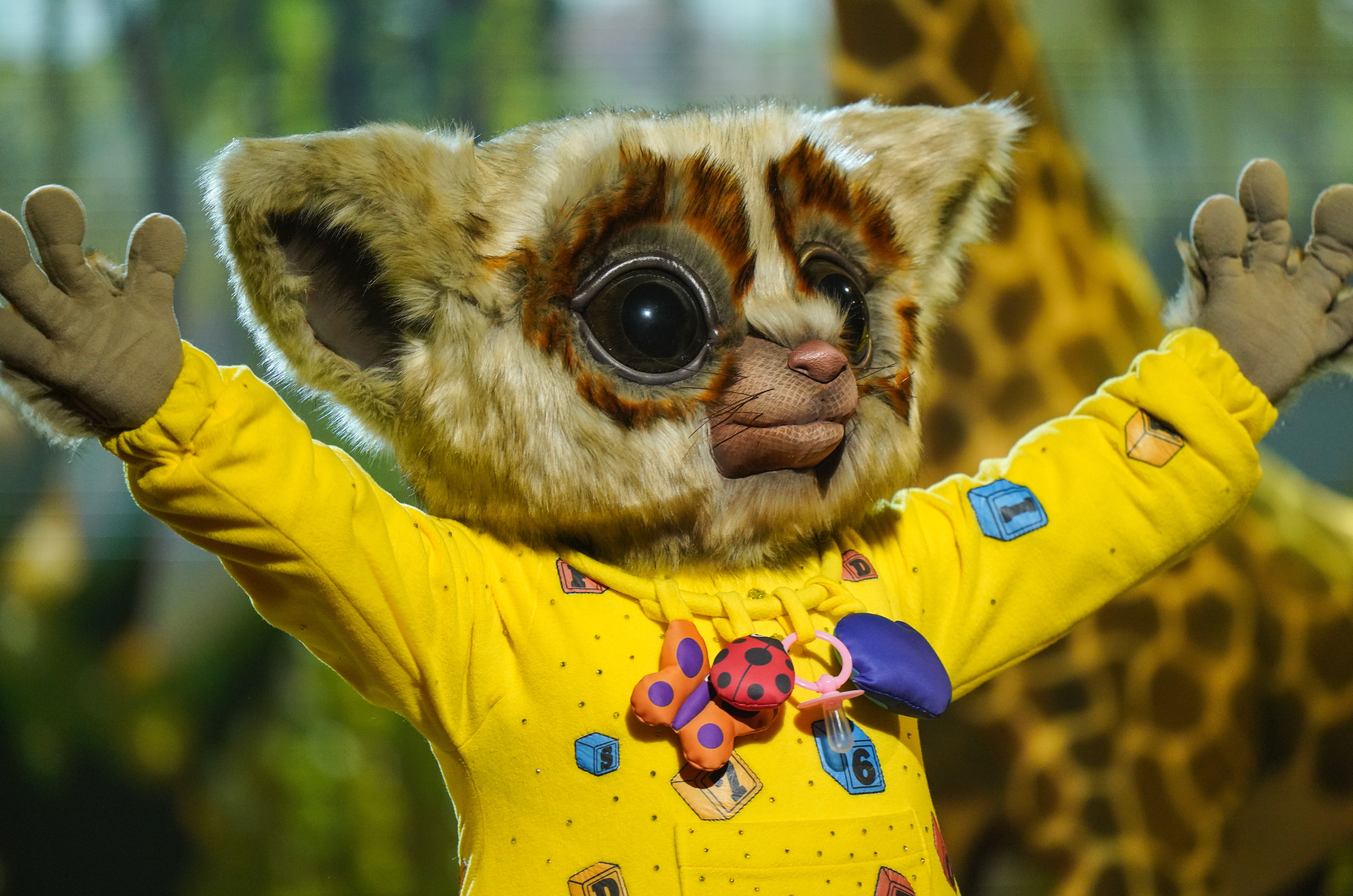The Masked Singer: Who is Bush Baby? 