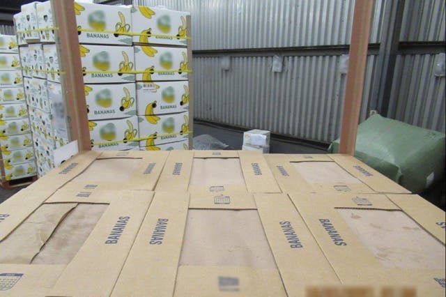 Cocaine with a potential street value of around £76m was discovered hidden in a cargo of bananas at the Port of Southampton