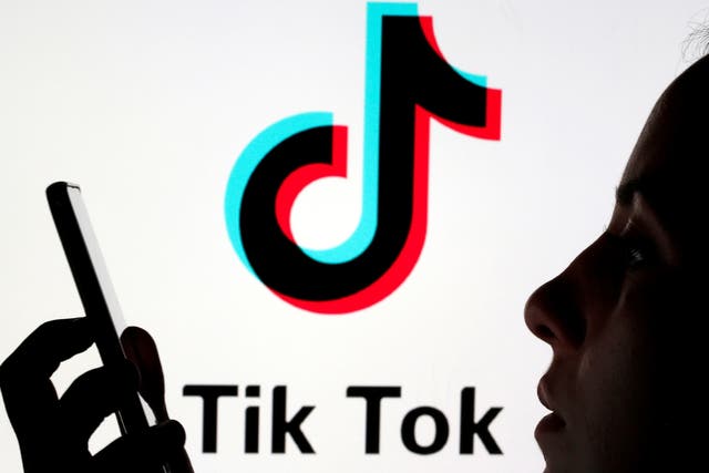 <p>The watchdog first raised concerns with TikTok in December over failure to protect minors</p>