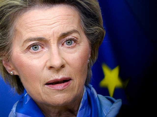 <p>European Commission President Ursula von der Leyen said she is alarmed by tech companies’ role in Capitol violence&nbsp;</p>