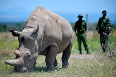 Stop the Illegal Wildlife Trade: The former naval officer now leading Kenya’s fight against poaching