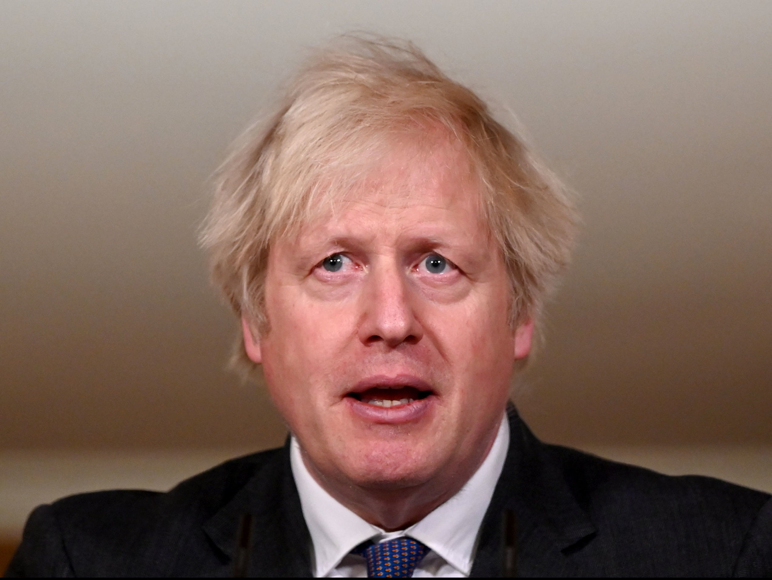 Boris Johnson said he wanted to ‘drive a green and sustainable recovery from Covid-19’