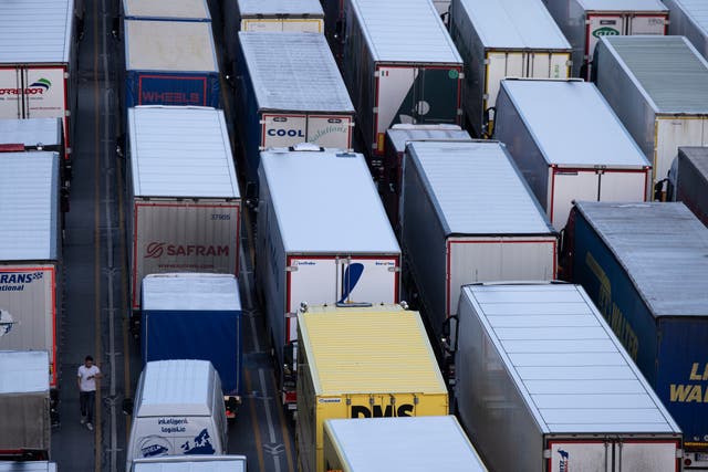 <p>Freight lorries queue at Dover port in the Brexit era</p>