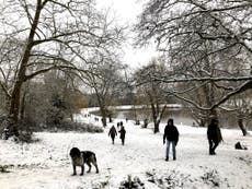 There is nothing like a fresh fall of snow to reset a busy brain