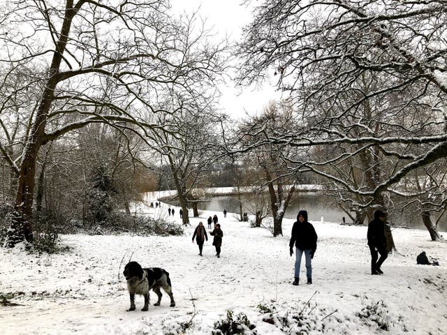 <p>Londoners walk in snow on Hampstead Heath on Sunday</p>