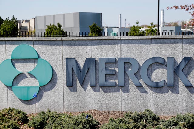 <p>File photo: Merck says molnupiravir is effective against all strains of the coronavirus, including the dominant Delta variant</p>