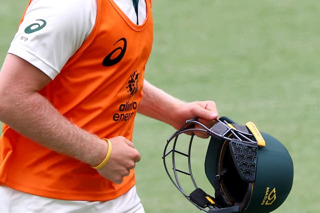 Helmets provide protection for batsmen but injuries can still occur