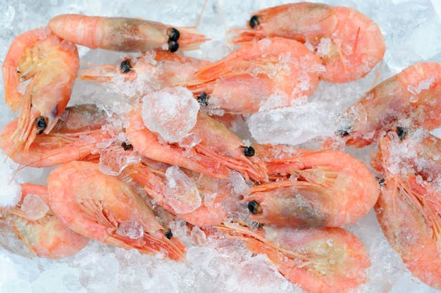 <p>Is there some kind of Brooklyn shrimp mafia?</p>