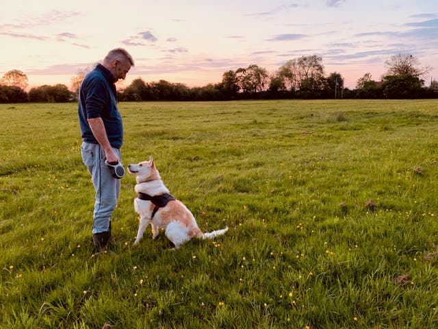 <p>The writer with his Romanian rescue, Duchess</p>