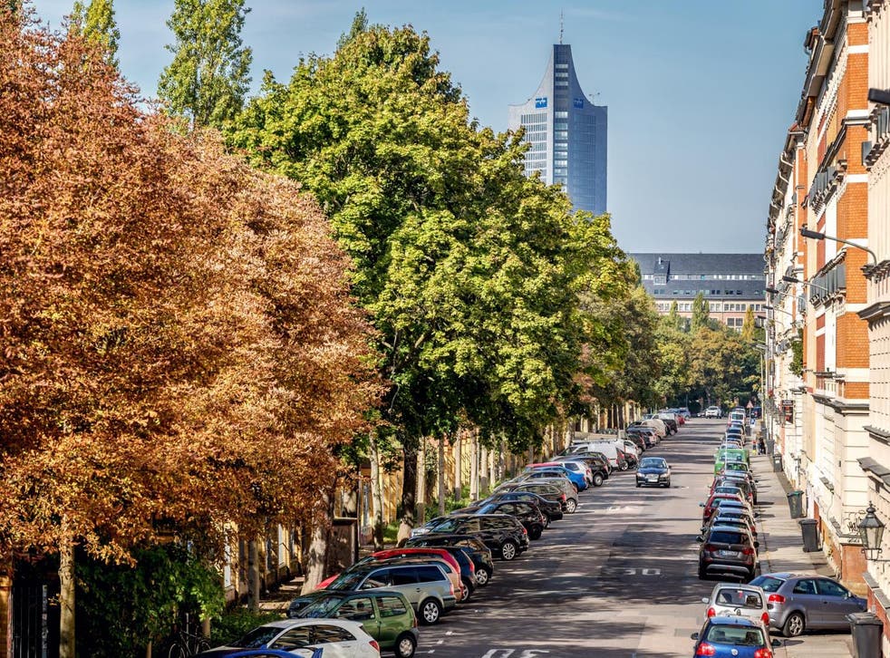 A high density of street trees could help mental health (Leipzig, Germany)