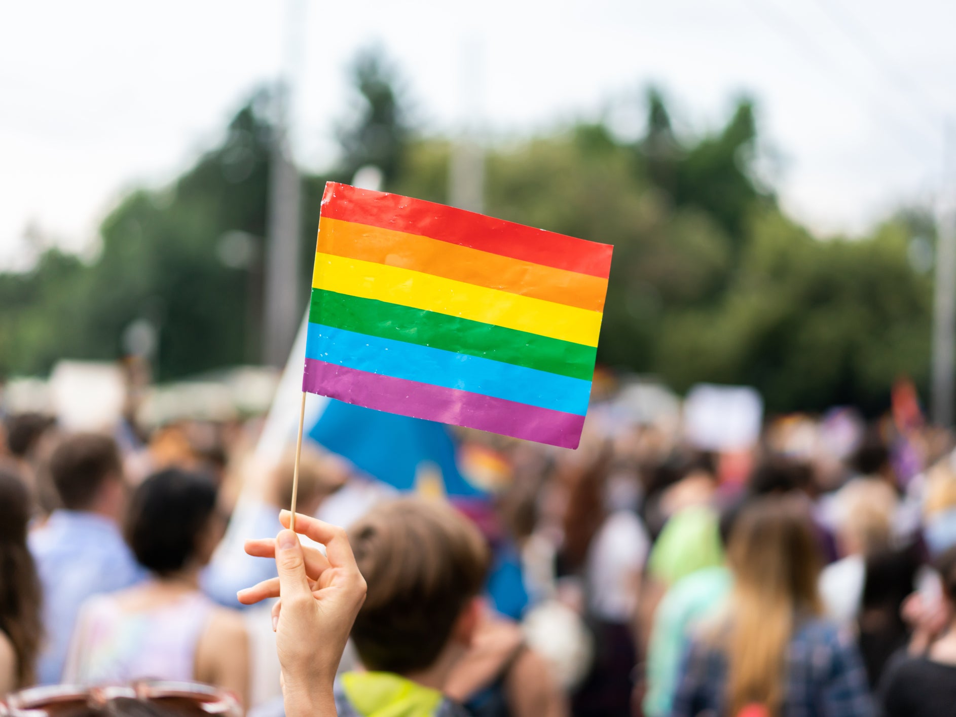 Researchers polled 2,934 secondary school pupils who were aged between 11 and 18 - over a third of which were LGBT+