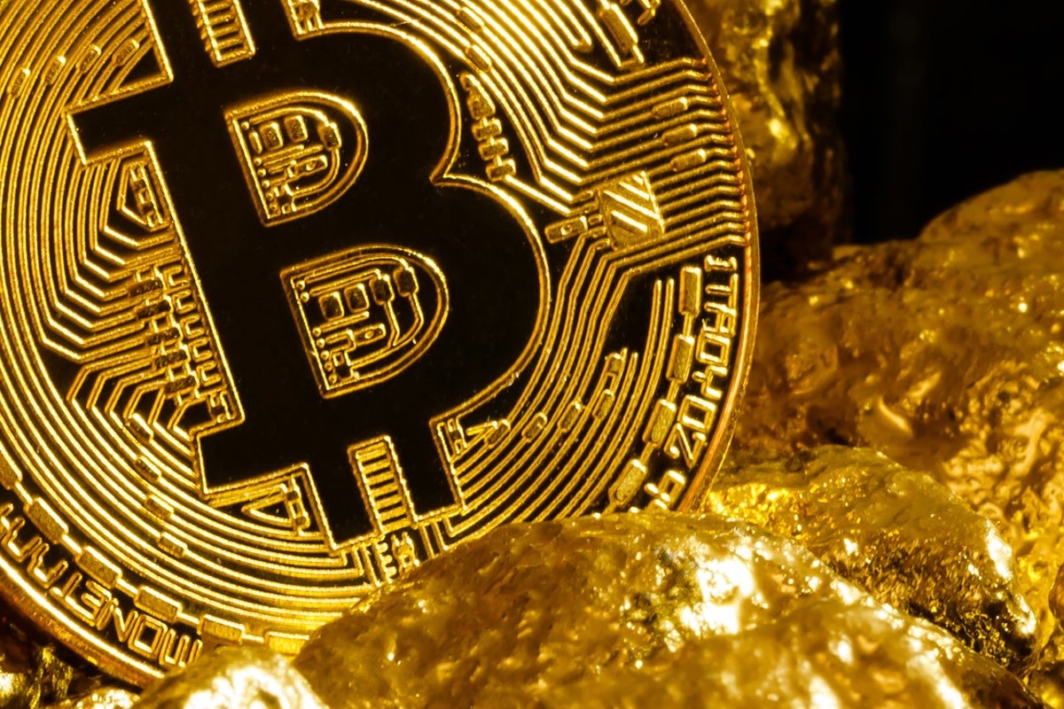 GameStop, Musk and cryptocurrency could end global inequality and weaken  American power | The Independent