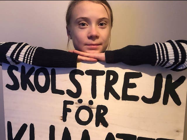 Swedish environmental activist Greta Thunberg appears in social media post marking five years since the Paris Agreement COP21 conference