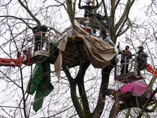 HS2 protests: Bailiffs remove activists from central London trees and hand them over to police