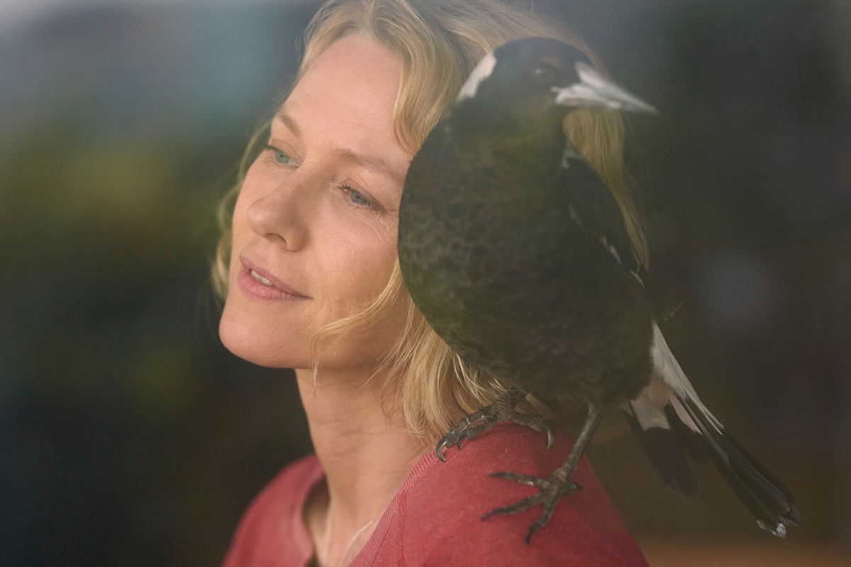 Naomi watts grounds penguin bloom’s story of human-avian kinship – review