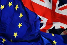 Pro-EU Tories press for improved Brexit deal but membership bid ‘over’