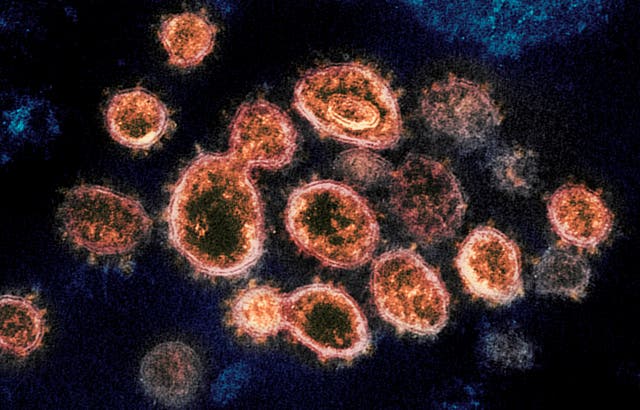 Virus Outbreak Variant