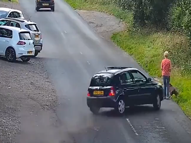 The moment Kallum Aish’s car ploughed into his victim, killing her dog and seriously injuring her, last summer
