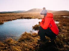 Ban on burning grouse moor peatlands ‘not enough to tackle climate crisis’