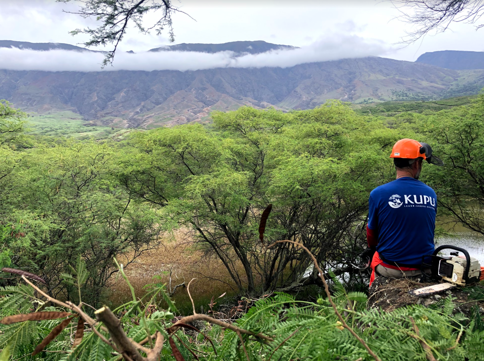 President Biden’s climate action plan includes building out a civilian conservation corps. Programs are already established across the US like Kupu in Hawaii