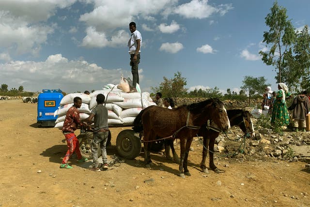 Ethiopia Hunger's Shadow