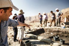 Purple dye ‘more precious than gold’ found in Biblical-era fabric by Israeli archaeologists