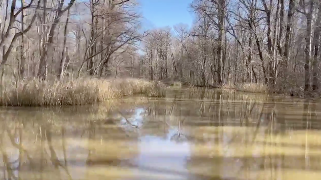 <p>Investigators were searching the area surrounding Reelfoot Lake after the murders came to light last week</p>