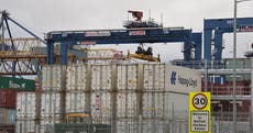Brexit checks suspended at Northern Ireland ports amid safety concerns
