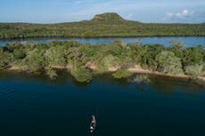 UK report urges need for nature to be at heart of economics